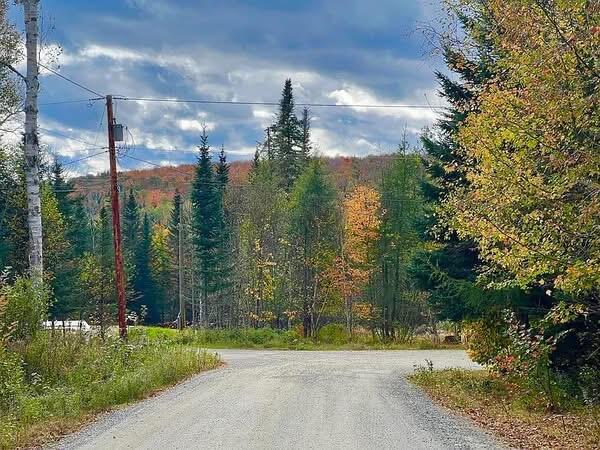 Lot 12 Doe Path Rangeley, ME 04970 - Photo 4 of 8