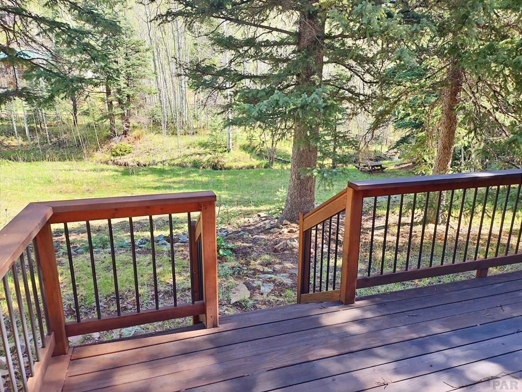 114 Silvercliffe Drive Rye, CO 81069 - Photo 6 of 13