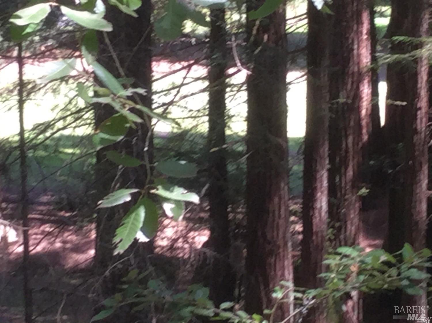 24960 Clover Road Willits, CA 95490 - Photo 12 of 14