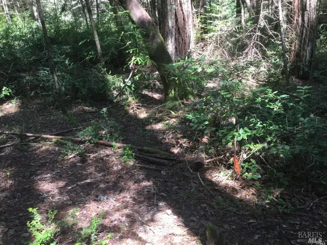 $17,900 | 24960 Clover Road, Willits, CA 95490