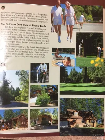 a view of a back yard