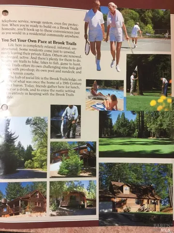 a view of a back yard