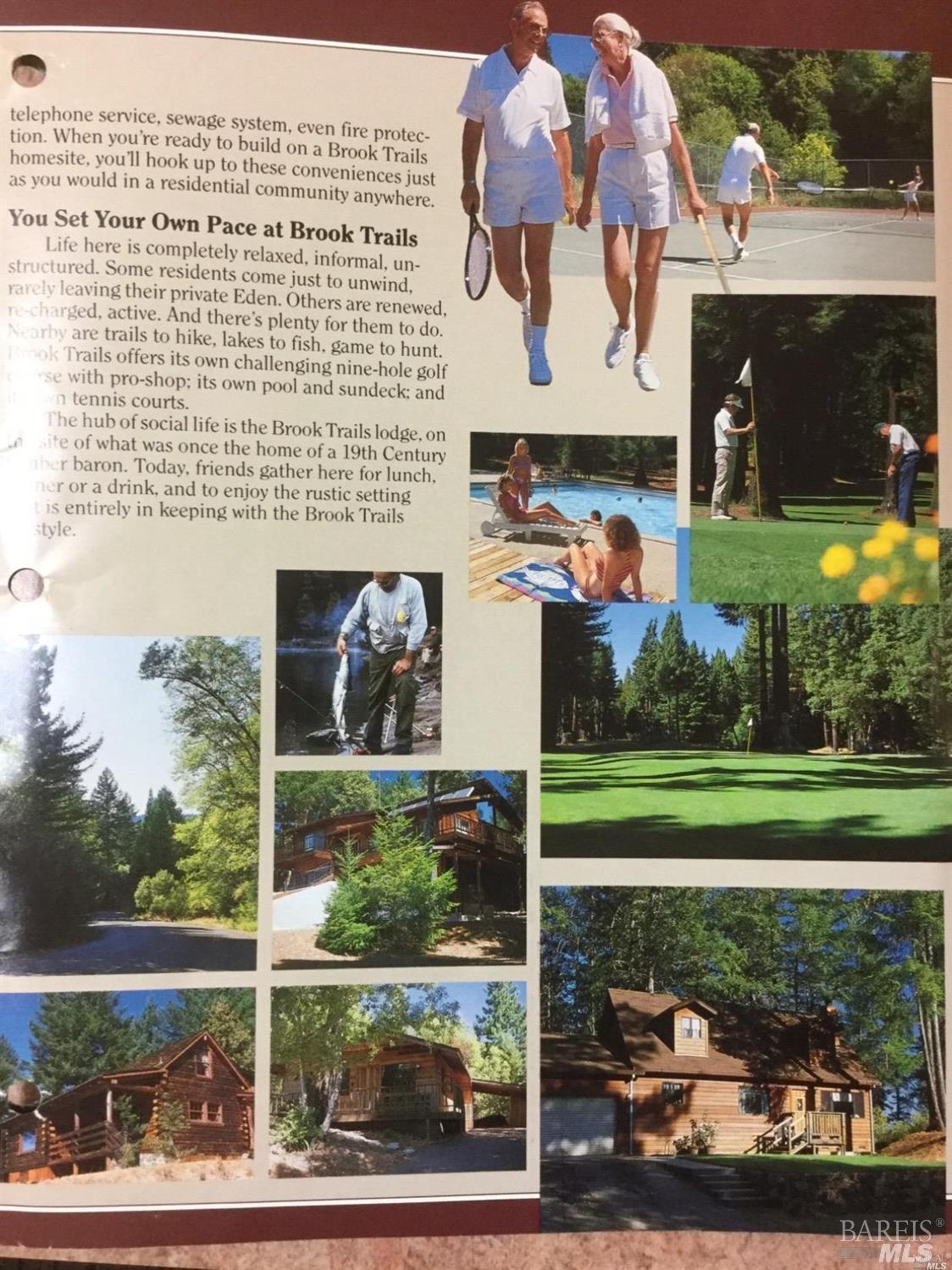 24960 Clover Road Willits, CA 95490 - Photo 3 of 14 a view of a back yard