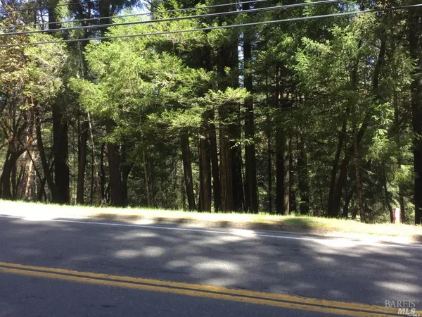 a view of a yard with a house