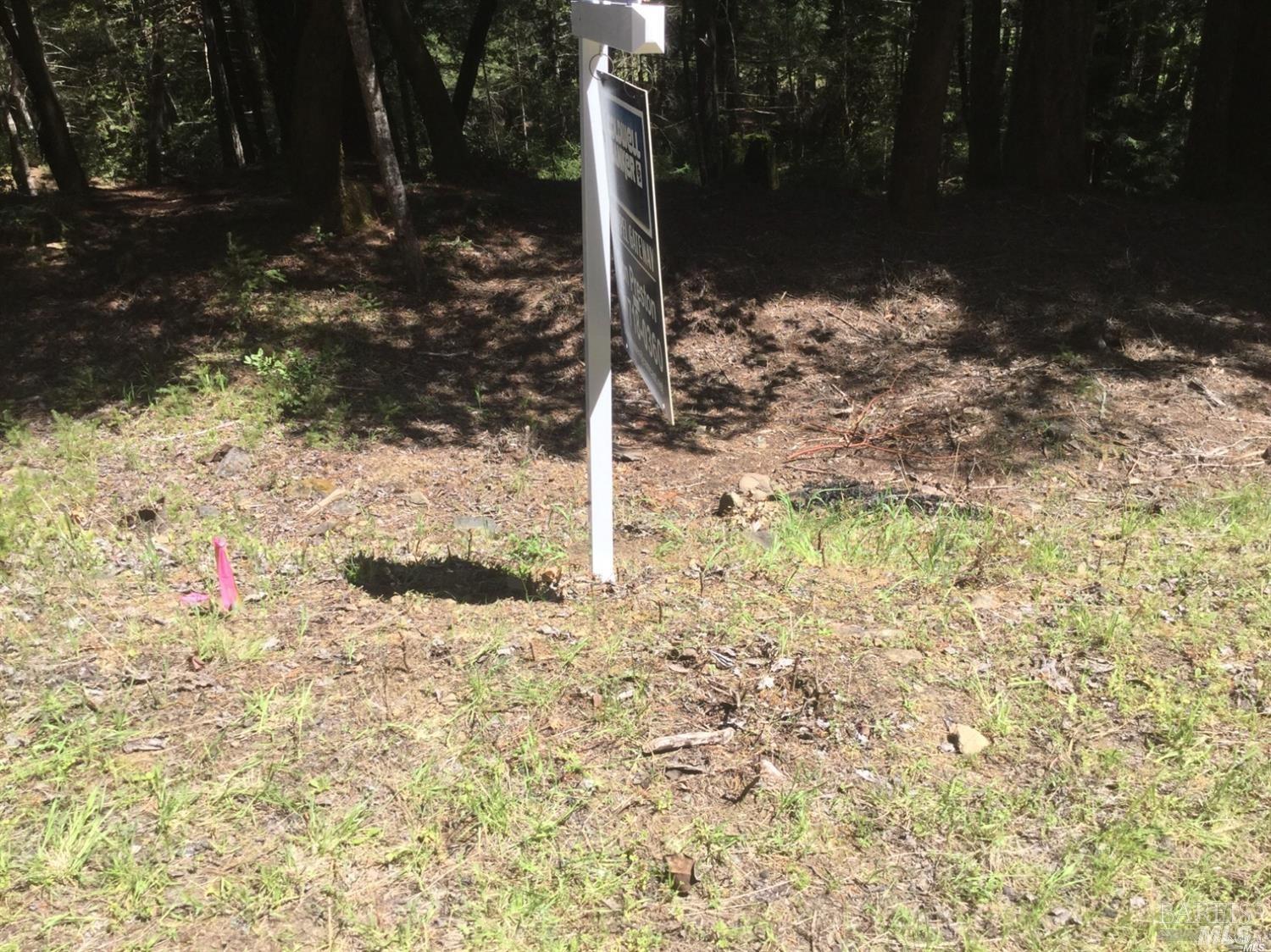 24960 Clover Road Willits, CA 95490 - Photo 8 of 14