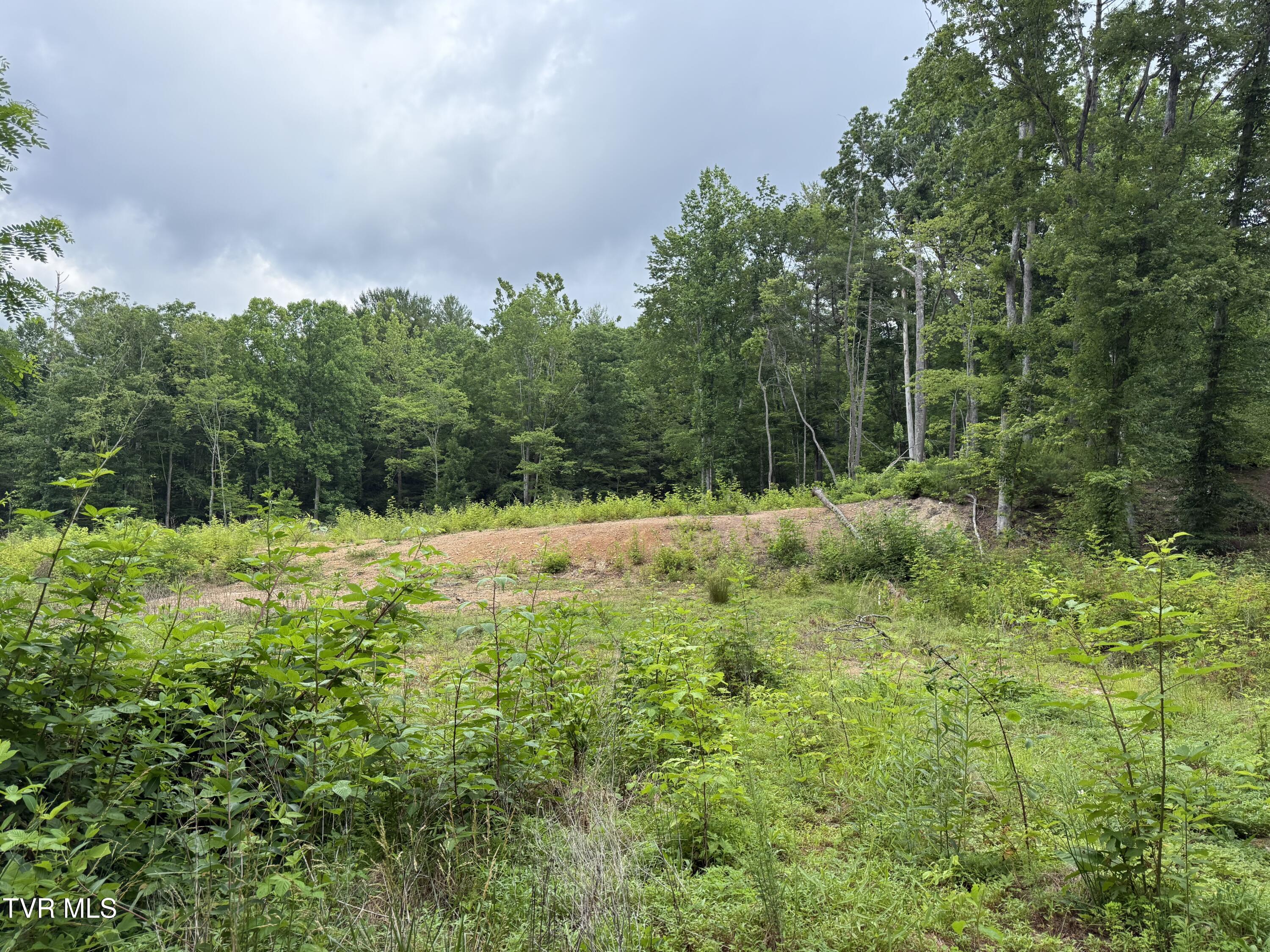 Tbd Rhea Lane, Unit 57 & 58 Mountain City, TN 37683 - Photo 9 of 10 TBD Rhea Lane 7
