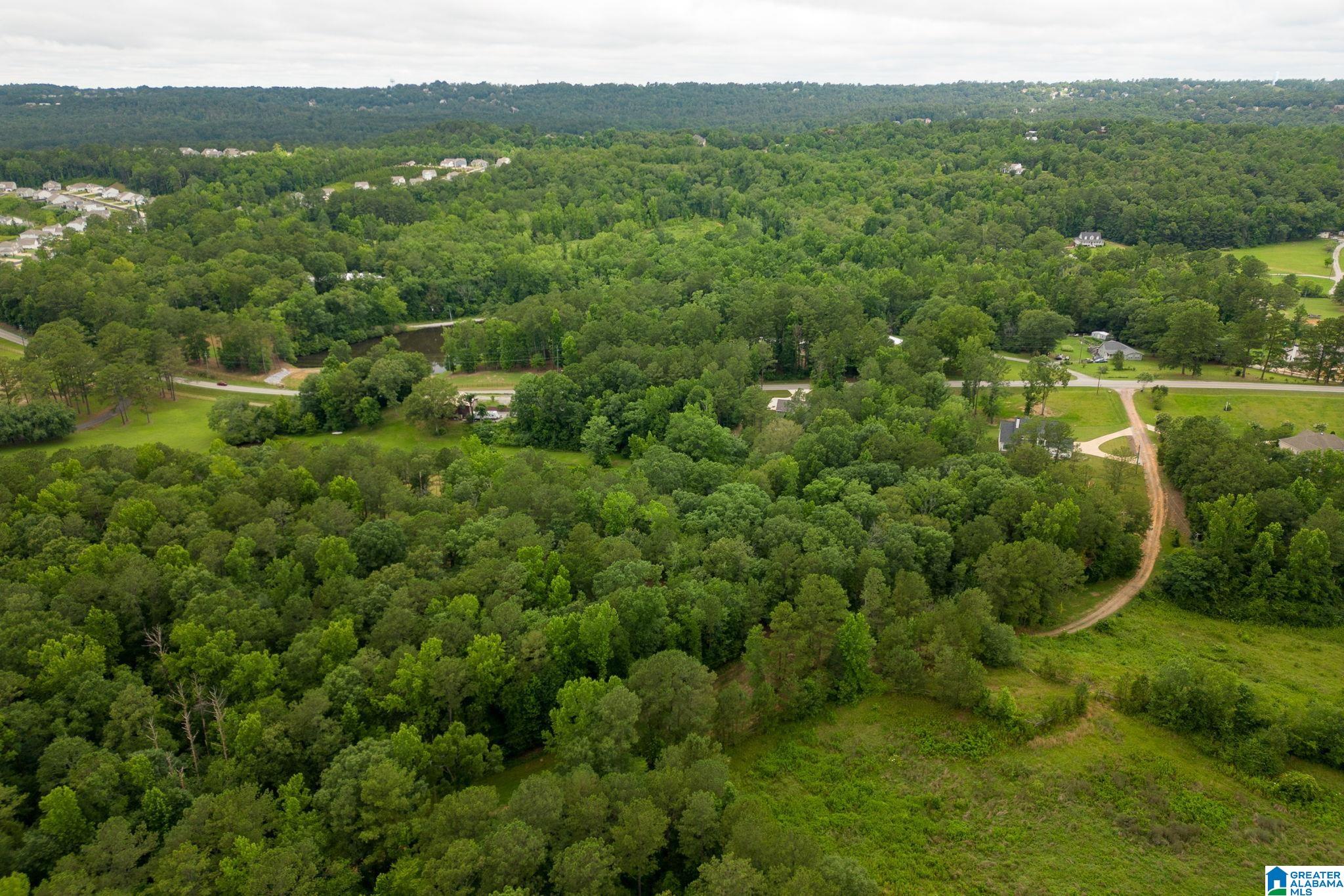 174 Martin Lane, Unit 1A Helena, AL 35080 - Photo 17 of 19