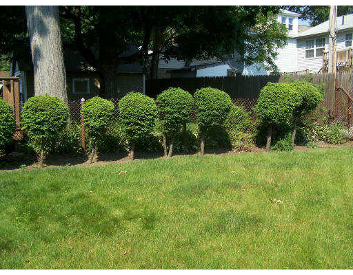 17 Worthy Street Springfield, MA 01104 - Photo 3 of 27 a view of a garden with plants