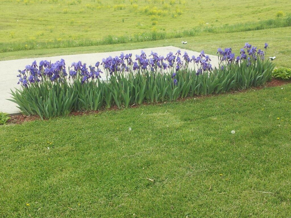 2258 Paris Road Mount Sterling, KY 40353 - Photo 65 of 78 part0 (6)