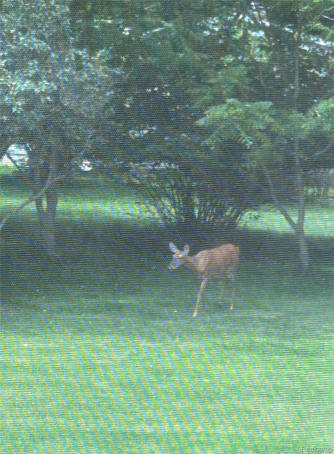 1334 Weeden Road Caro, MI 48723 - Photo 7 of 30 IMG_1643.jpeg