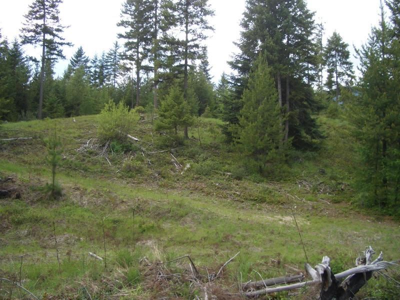 11-xx Middle Basin Road Colville, WA 99114 - Photo 4 of 20