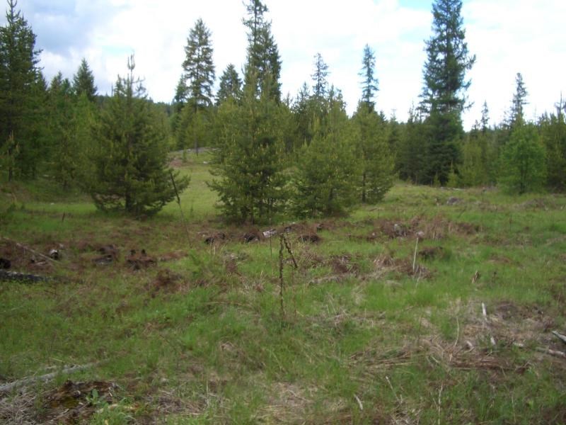 11-xx Middle Basin Road Colville, WA 99114 - Photo 5 of 20