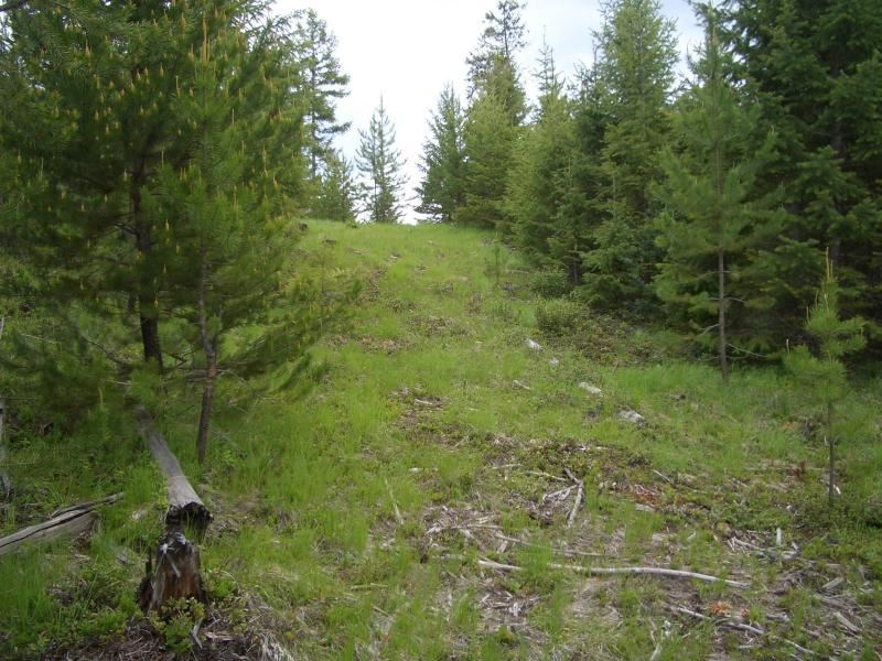 11-xx Middle Basin Road Colville, WA 99114 - Photo 7 of 20
