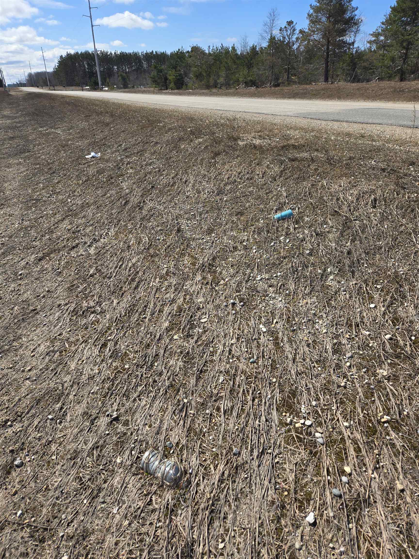 B Johnson Road, Unit LOT: B Mancelona, MI 49659 - Photo 7 of 48