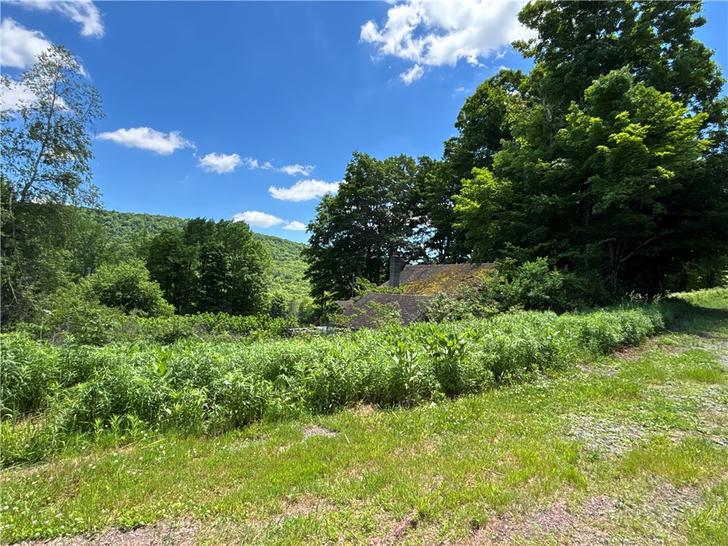 2613 Murphy Hill Road Andes, NY 13731 - Photo 31 of 35