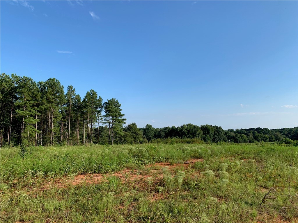 0 Old House Road Walhalla, SC 29691 - Photo 1 of 19 Gallery Image 1
