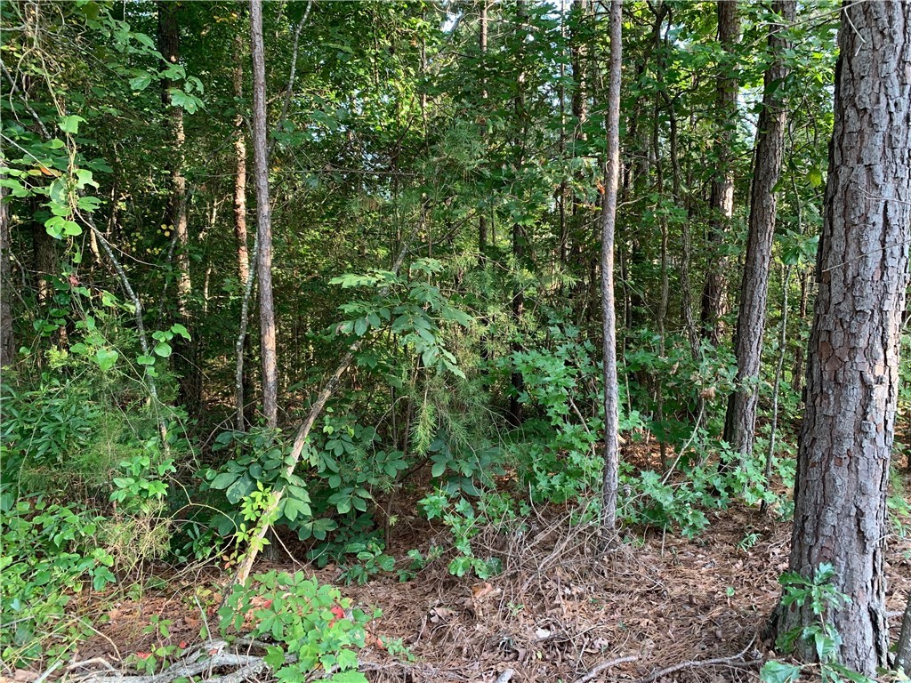0 Old House Road Walhalla, SC 29691 - Photo 17 of 19 Gallery Image 17
