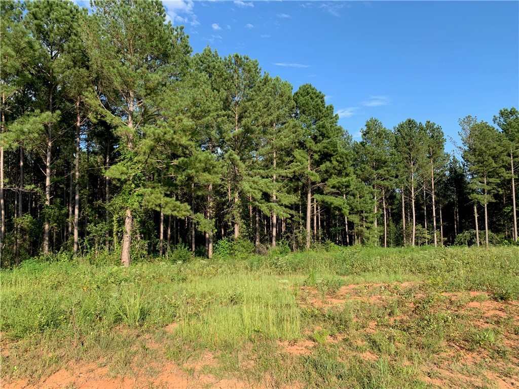 0 Old House Road Walhalla, SC 29691 - Photo 3 of 19 Gallery Image 3