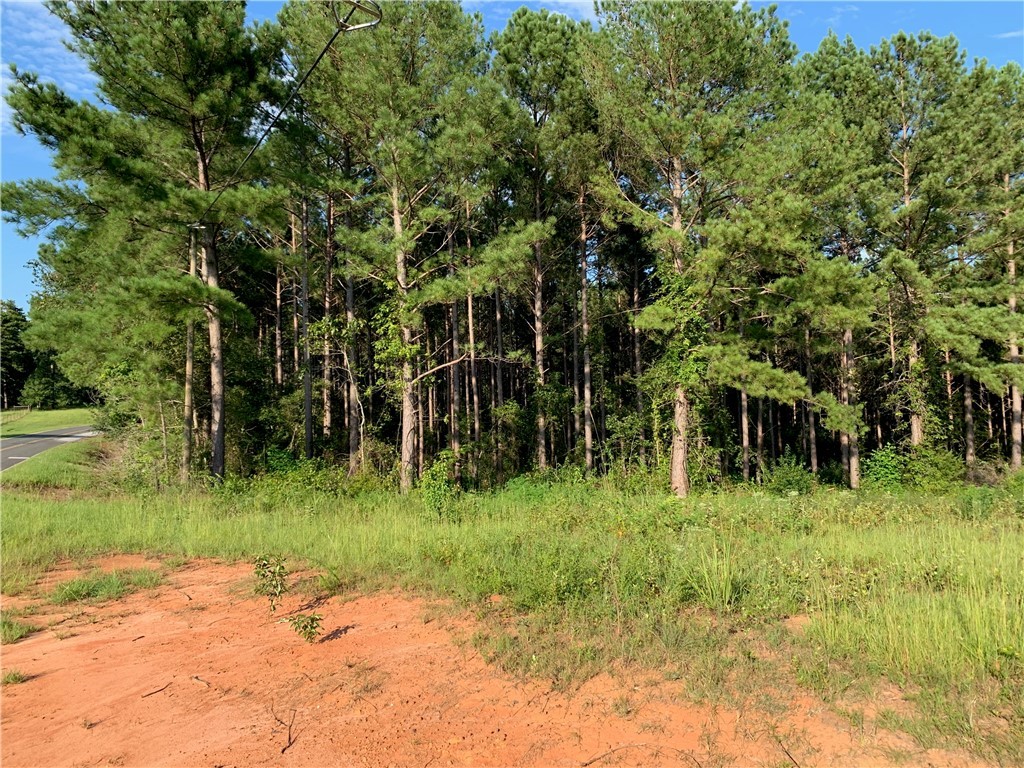0 Old House Road Walhalla, SC 29691 - Photo 4 of 19 Gallery Image 4