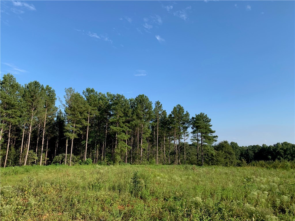 0 Old House Road Walhalla, SC 29691 - Photo 7 of 19 Gallery Image 7