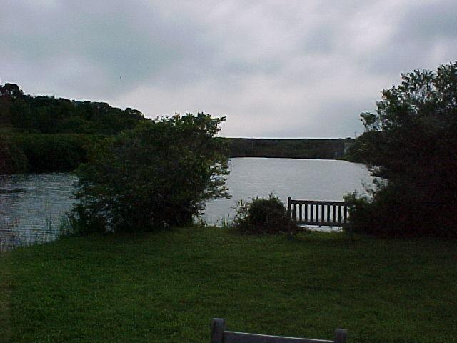4 Pond Road, Unit 1 2 3 Truro, MA 02666 - Photo 7 of 19 a view of a chair and table in the garden