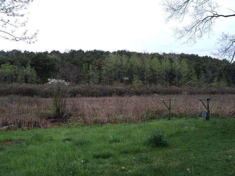 4 Pond Road, Unit 1 2 3 Truro, MA 02666 - Photo 8 of 19 a view of a backyard