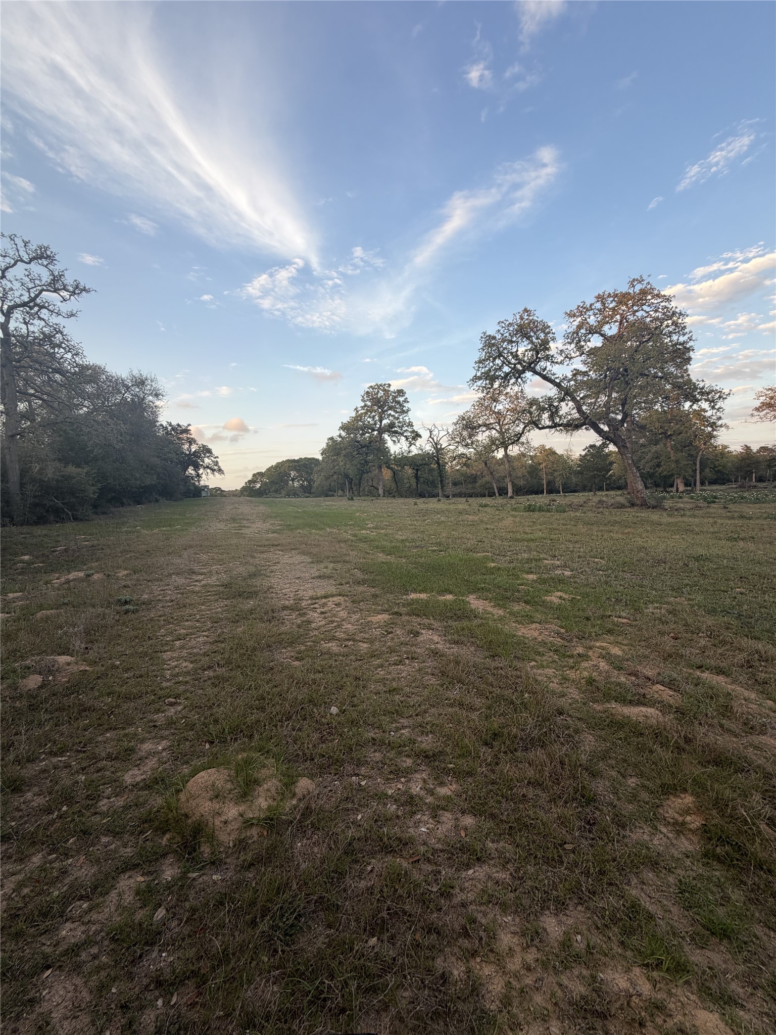 1743 Zimmerscheidt Road New Ulm, TX 78950 - Photo 4 of 13 a view of an ocean