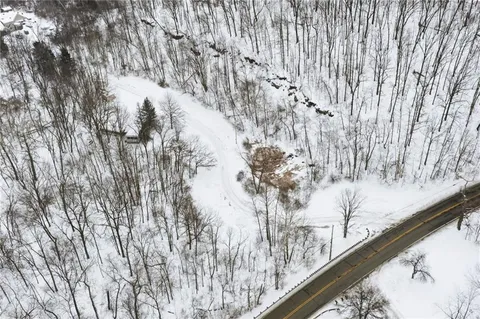 a view of a forest filled with snow