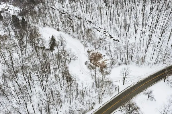 a view of a forest filled with snow