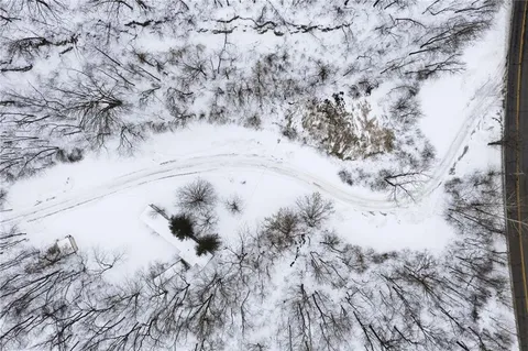 a view of a dry yard with lots of green space