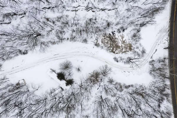 a view of a dry yard with lots of green space