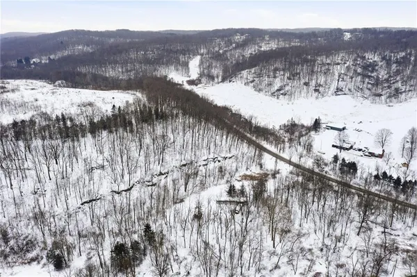 a view of a forest with mountains