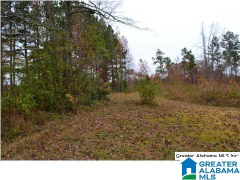 401 Old Settlement Road Oneonta, AL 35121 - Photo 26 of 28