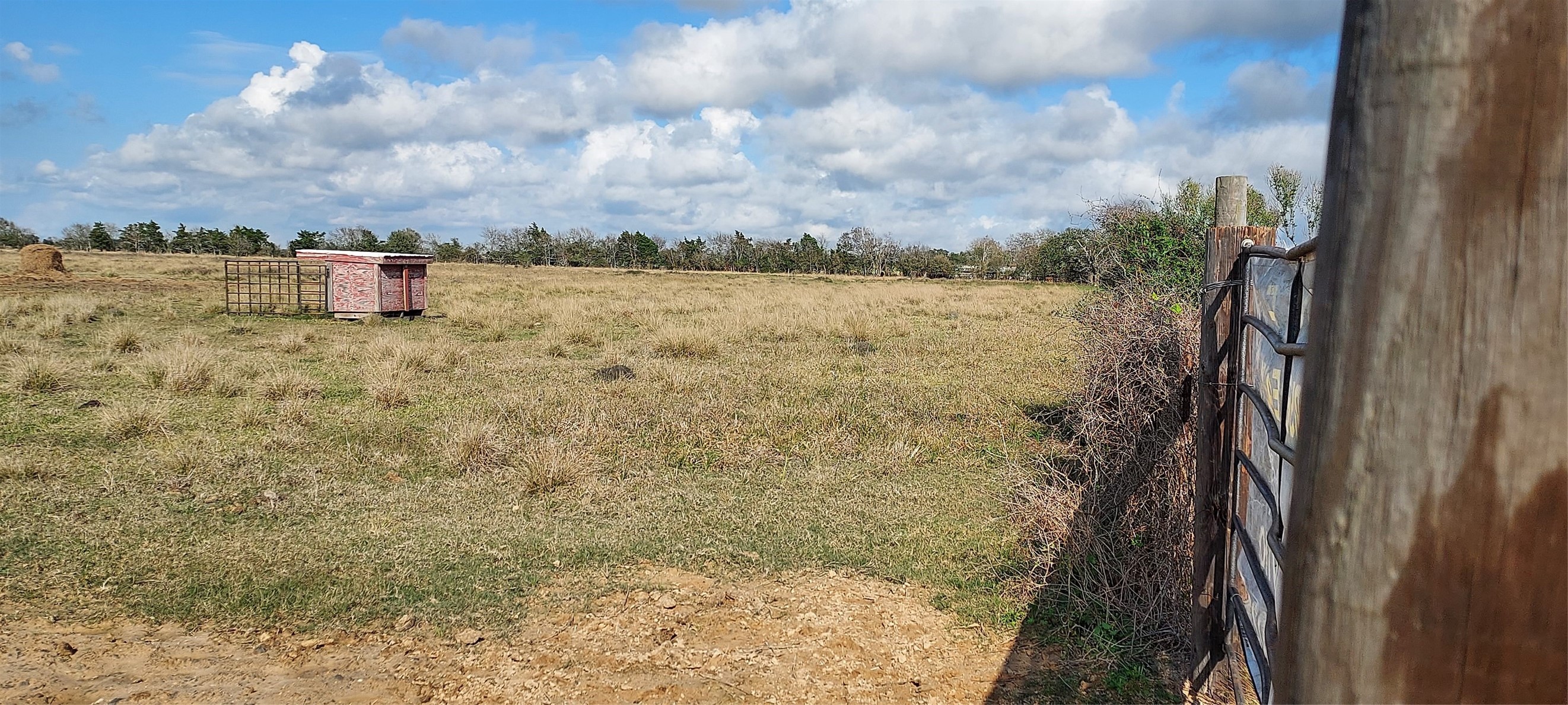 11700 Farm To Market 2004 Santa Fe, TX 77517 - Photo 2 of 11 a view of a lake
