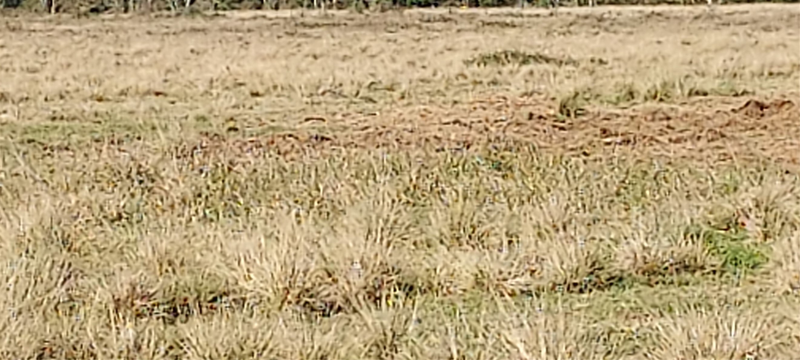 11700 Farm To Market 2004 Santa Fe, TX 77517 - Photo 3 of 11 a bathroom with a bathtub