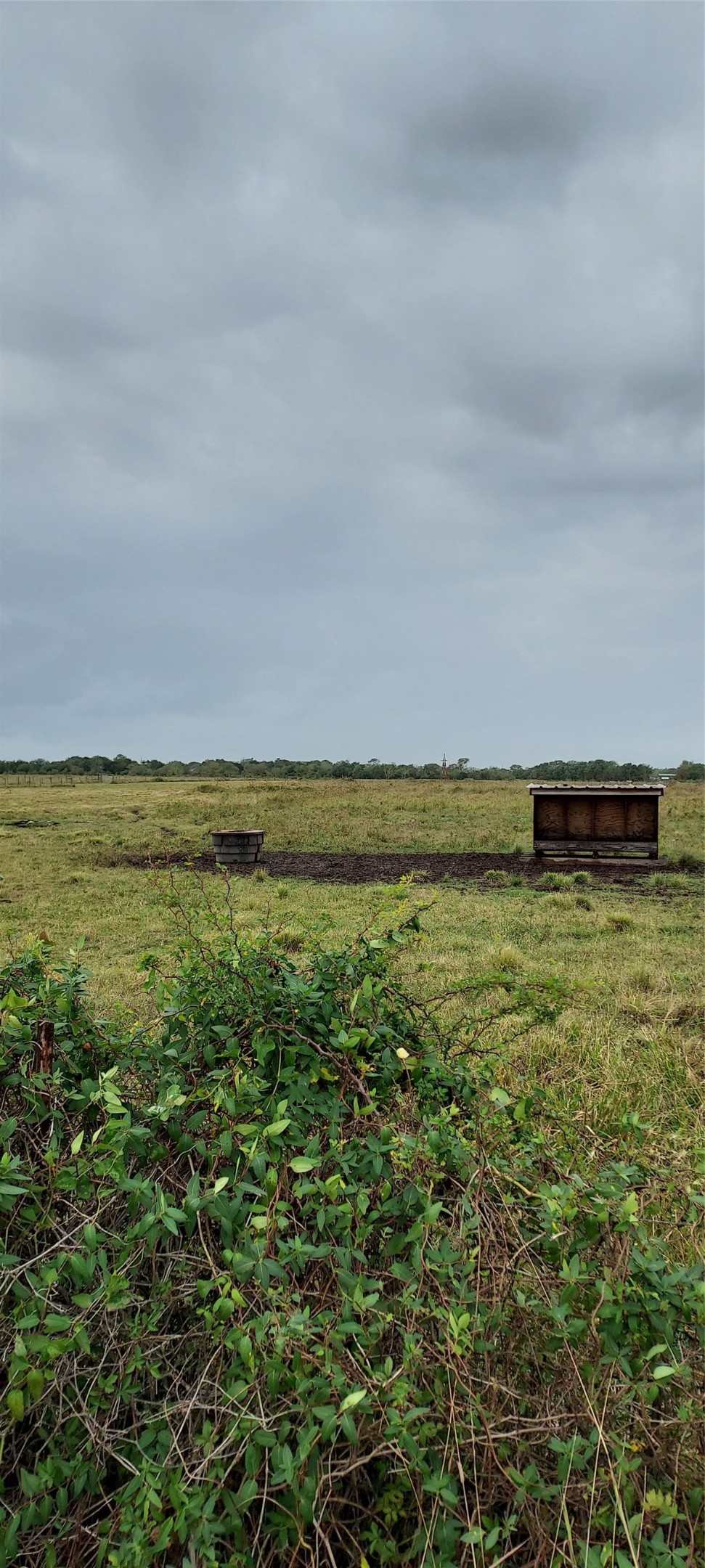 11700 Farm To Market 2004 Alvin, TX 77511 - Photo 5 of 11 a view of an ocean
