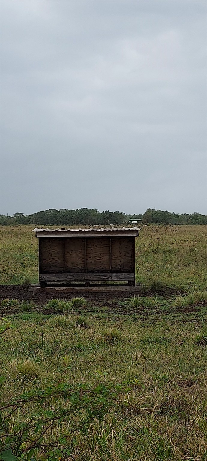 11700 Farm To Market 2004 Santa Fe, TX 77517 - Photo 6 of 11 a view of a lake with a big yard