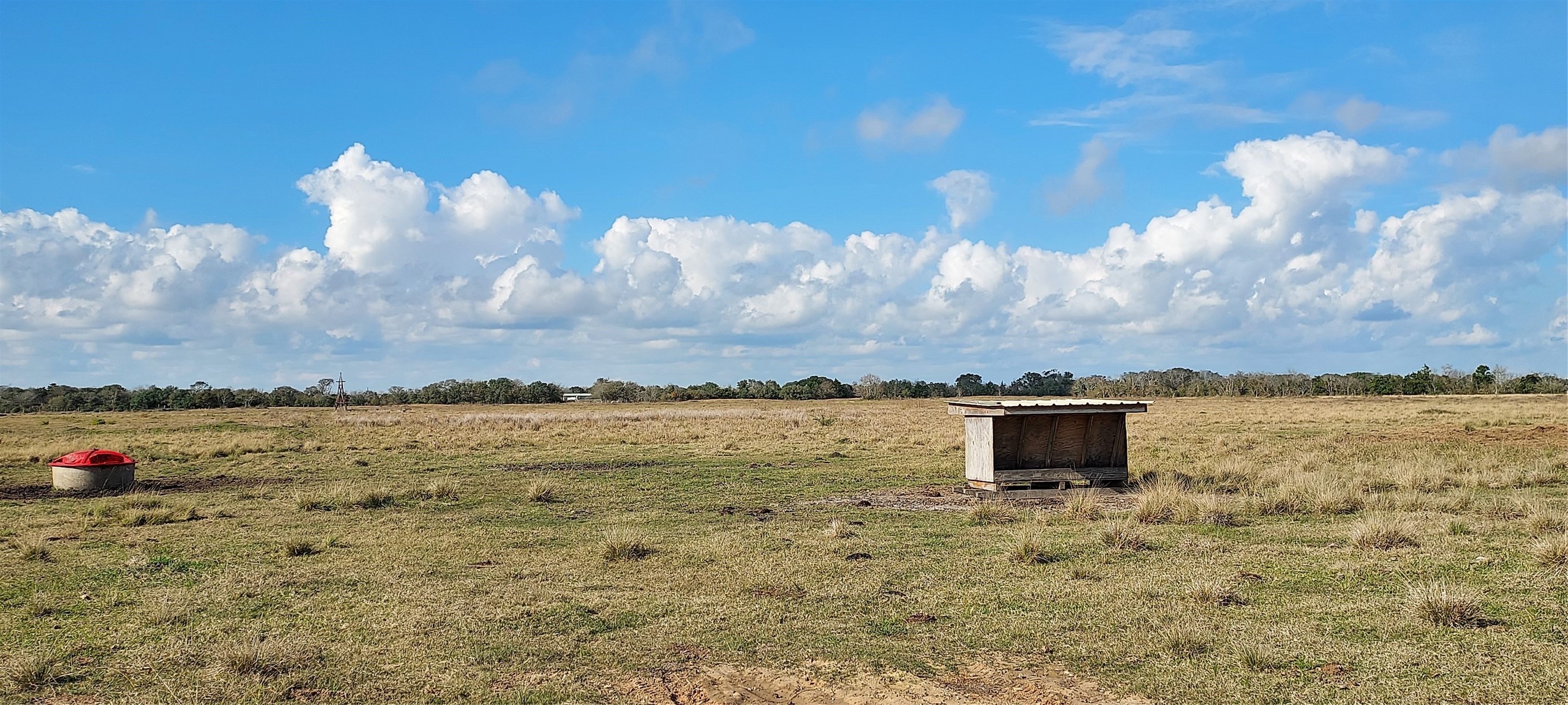 11700 Farm To Market 2004 Santa Fe, TX 77517 - Photo 7 of 11 a view of a lake