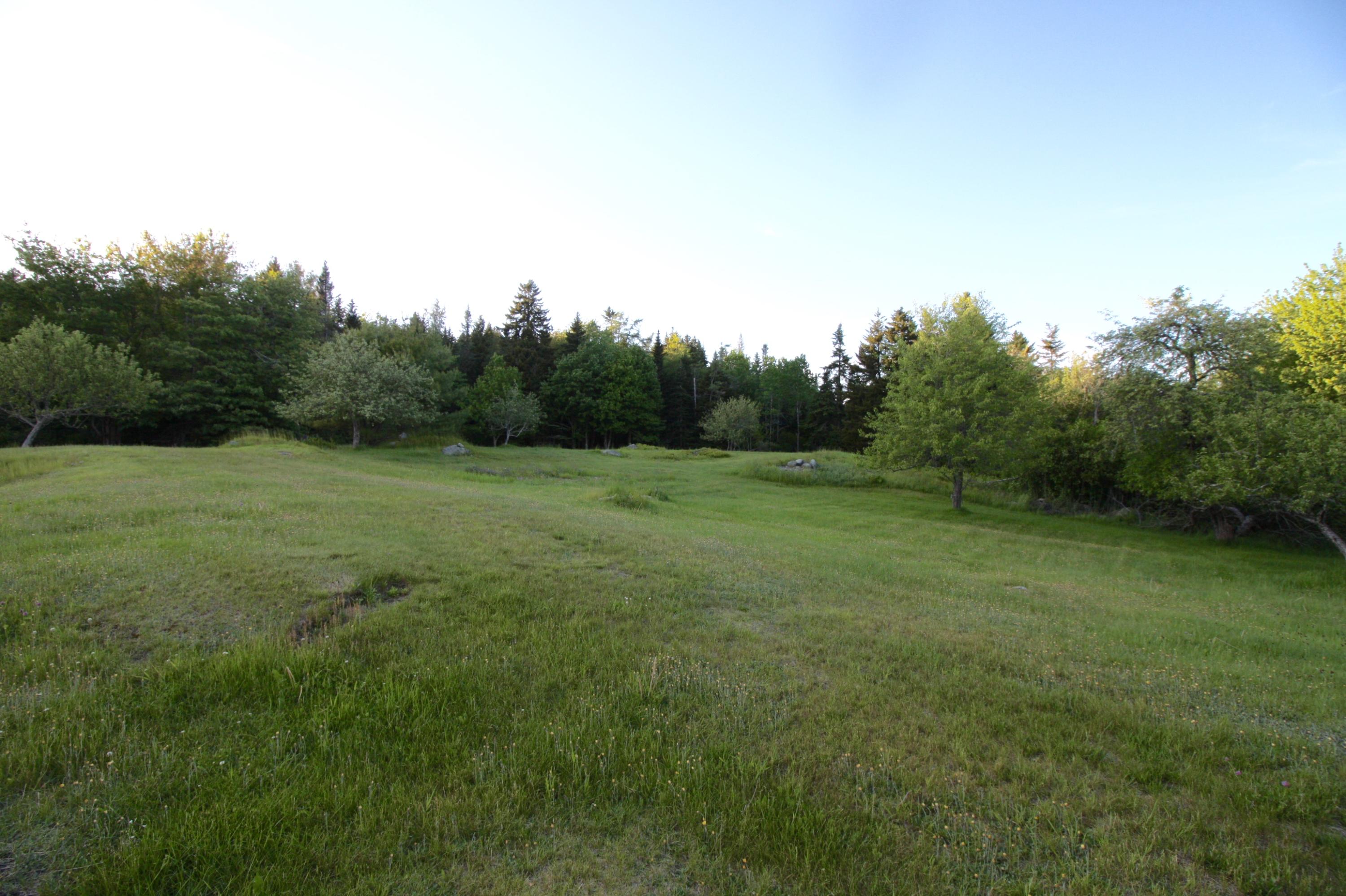 278 Cutler Road East Machias, ME 04630 - Photo 9 of 10 Beautiful backyard with apple trees