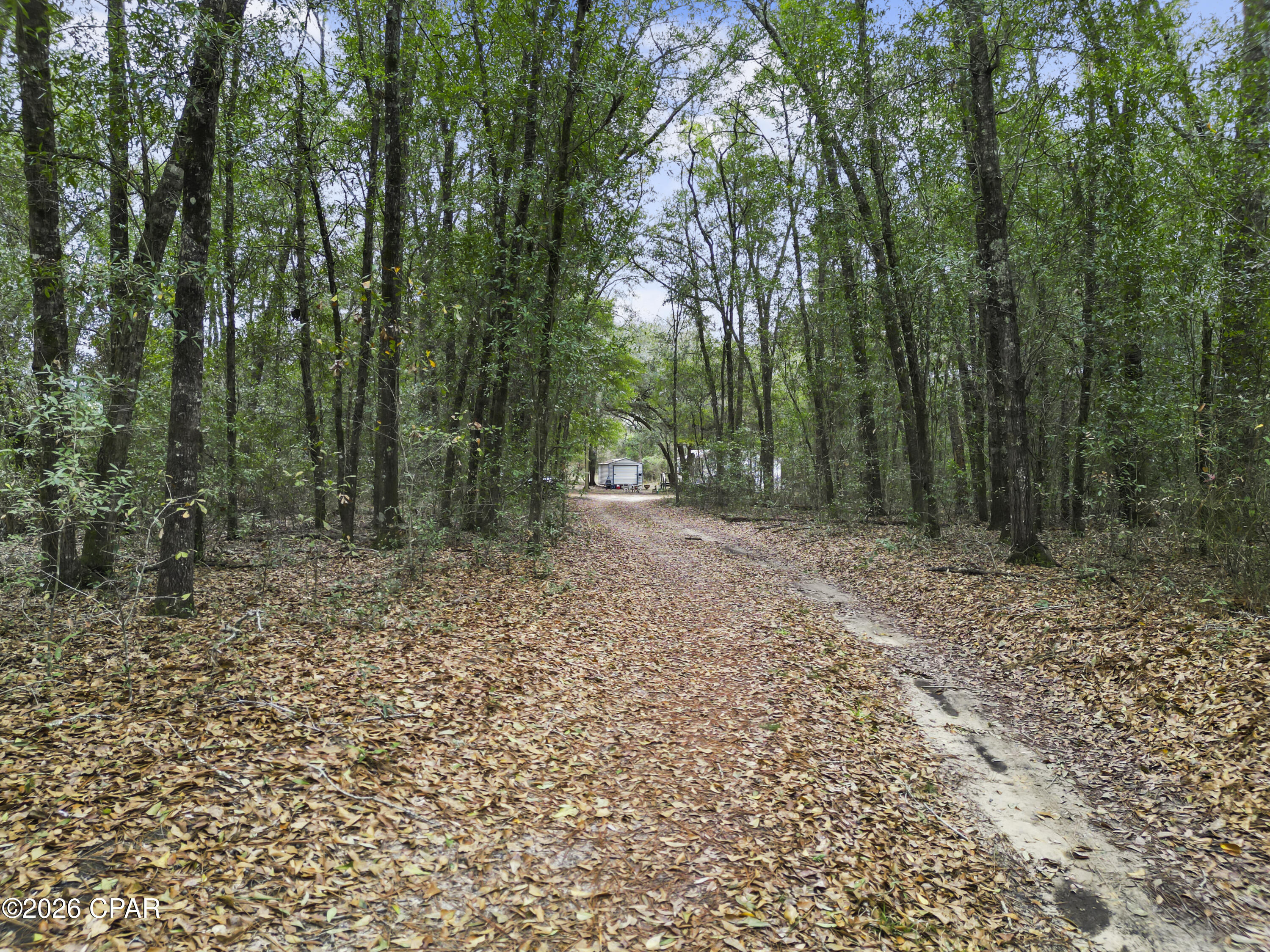 1413 Walker Road Graceville, FL 32440 - Photo 22 of 30