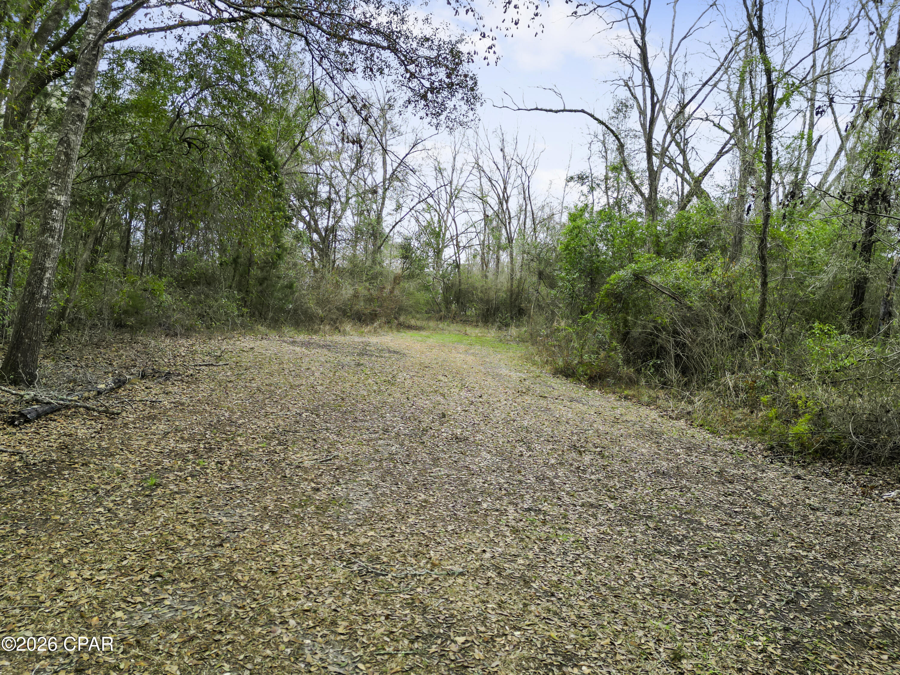 1413 Walker Road Graceville, FL 32440 - Photo 25 of 30