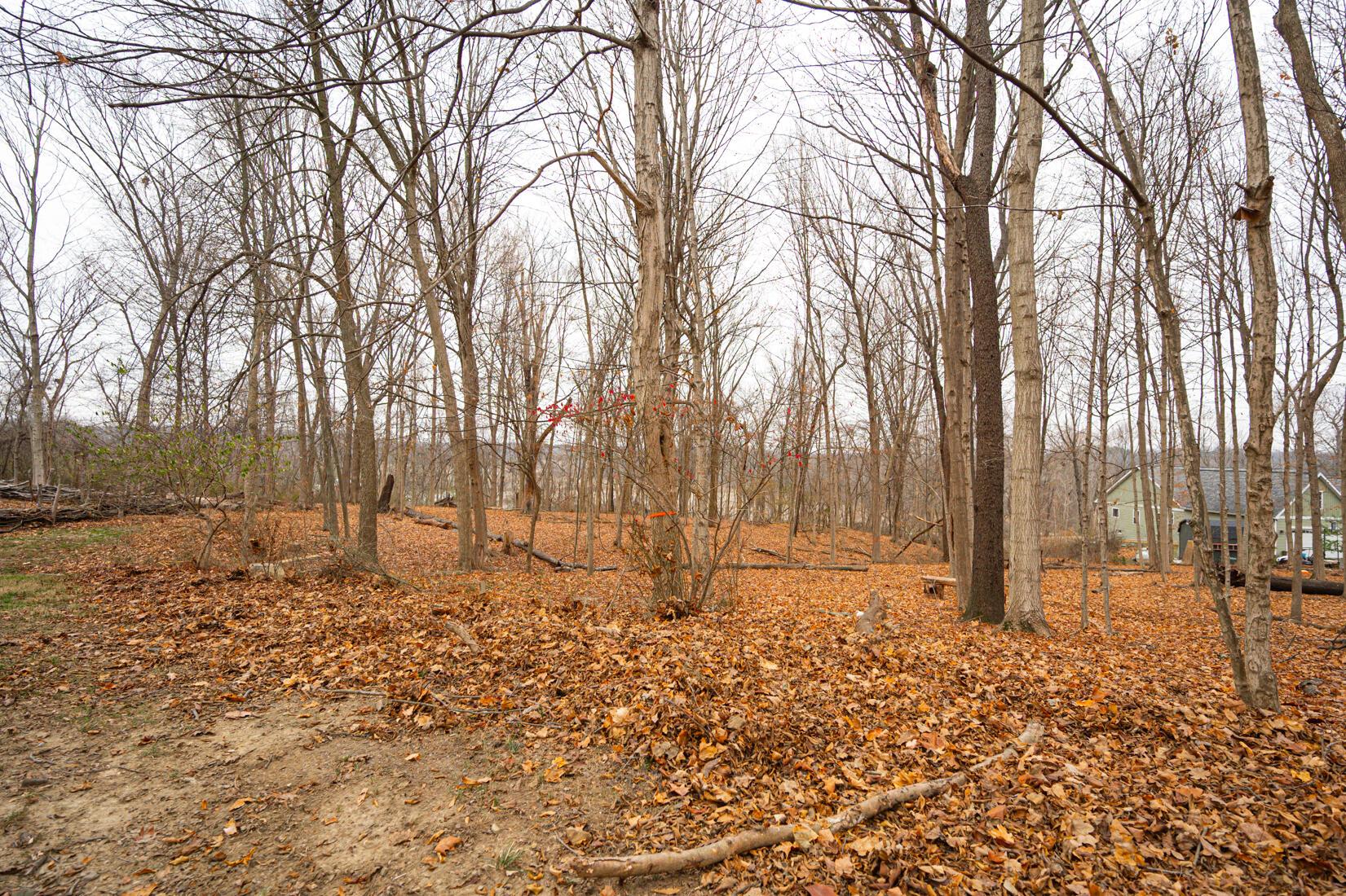 11466 Edwards Road Johnstown, OH 43031 - Photo 50 of 84 11466 Edwards Rd Johnstown Ohio-35