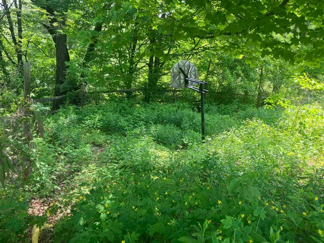 $269,000 | 49 Winter Street, Hardwick, VT 05843