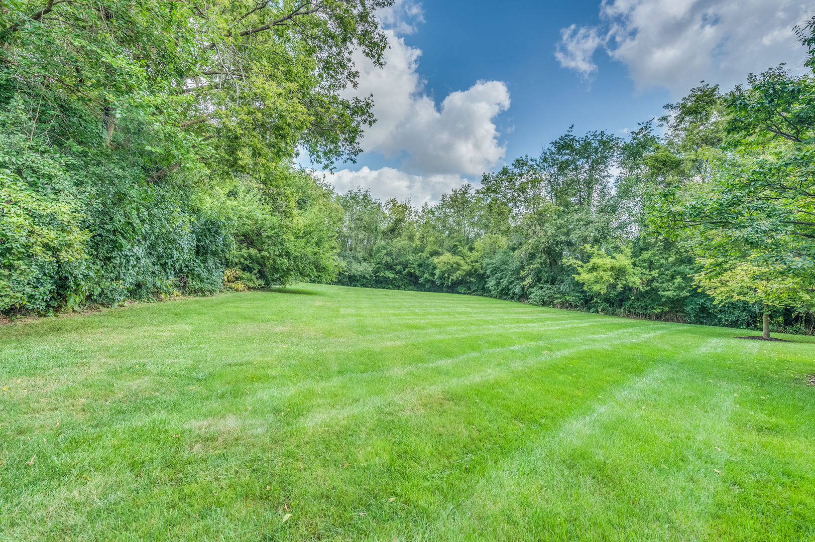 6607 Cobblestone Lane Long Grove, IL 60047 - Photo 39 of 46