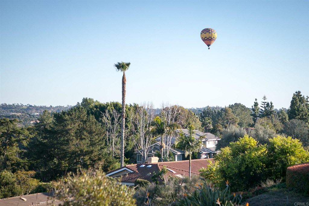 2222 Silver Peak Place Encinitas, CA 92024 - Photo 32 of 32