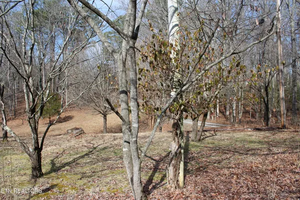 5715 South York Highway, Clarkrange, TN 38553