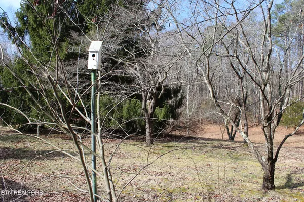 5715 South York Highway, Clarkrange, TN 38553