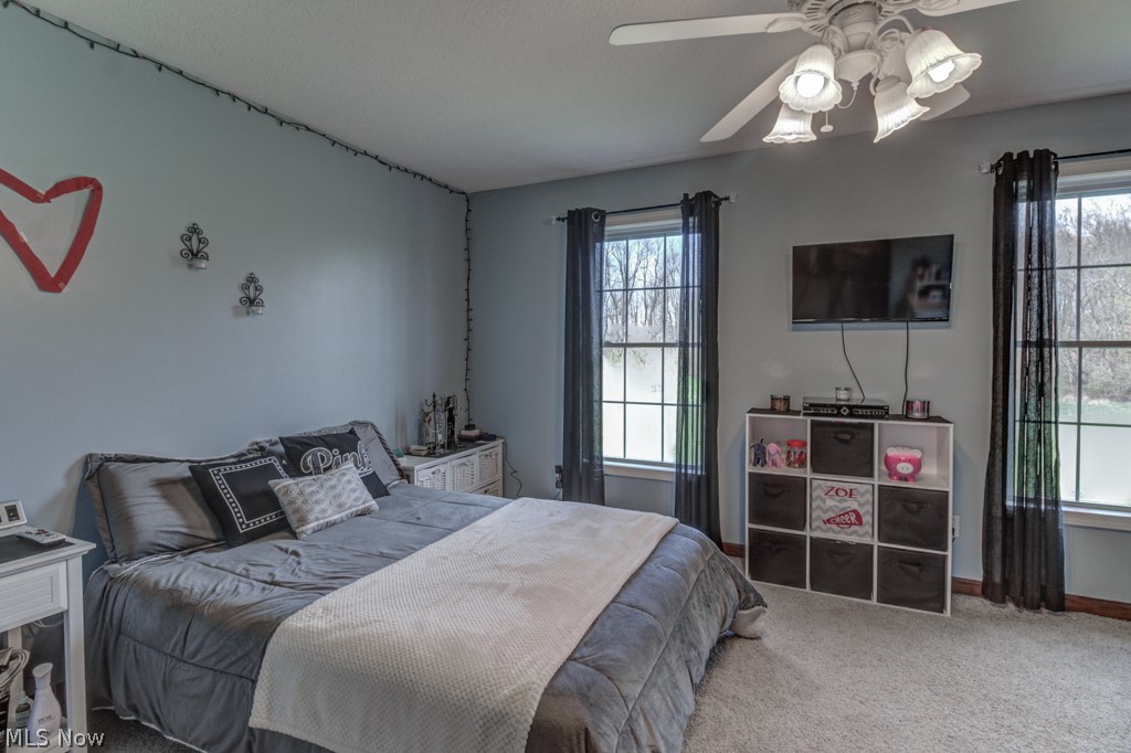 11414 Walker Road Minerva, OH 44657 - Photo 23 of 30 Gallery Image 23