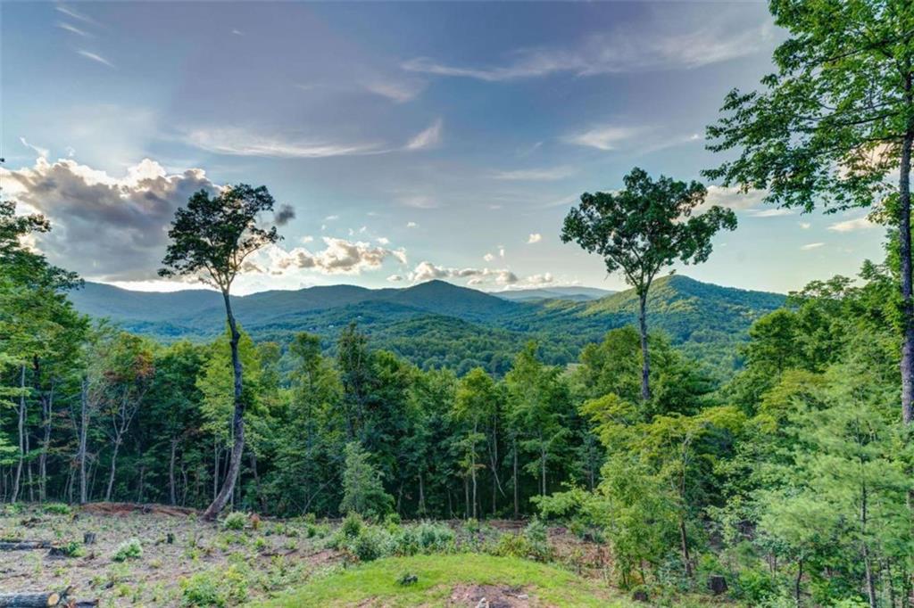 370 High Ridge Road Epworth, GA 30541 - Photo 34 of 42 a flower garden is sitting in the middle of a yard