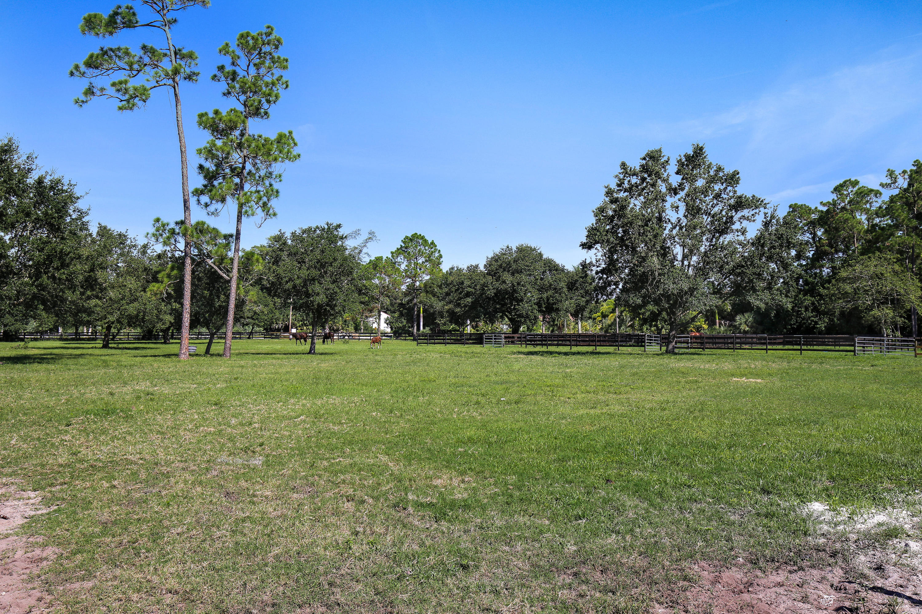 1462 F Road Loxahatchee, FL 33470 - Photo 10 of 17 GRASS FIELD